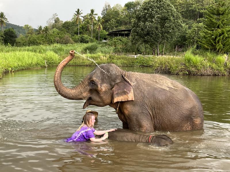 Ethical Elephant Caretaker & Doi Suthep Temple Tour.
