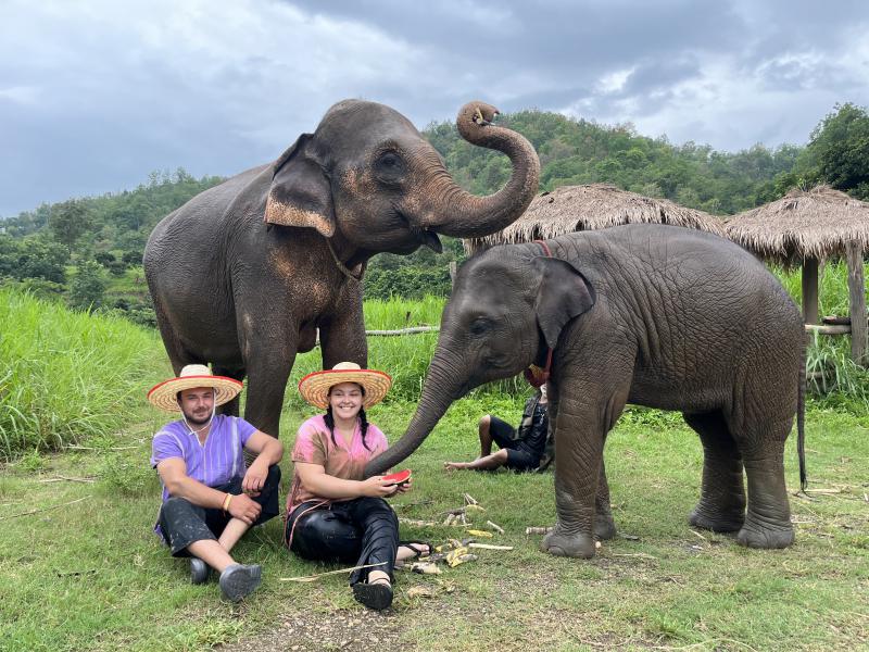 Elephant Sanctuary and Sticky Waterfall Tour