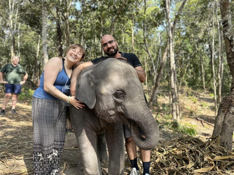Chiang Mai 7 hours Afternoon: Elephant Sanctuary & Waterfall Tour