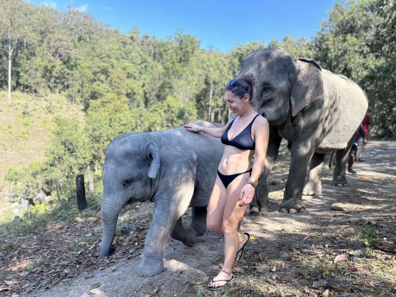 Chiang Mai 7 hours Morning: Elephant Sanctuary & Waterfall Tour